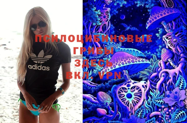 гидропоника Абаза