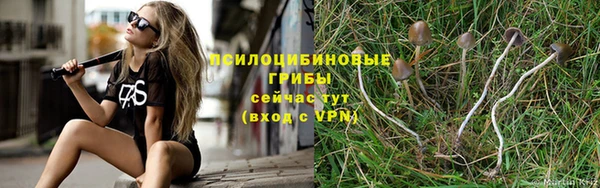 прущие крисы Абинск