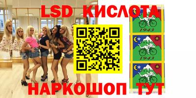 кокс Кингисепп