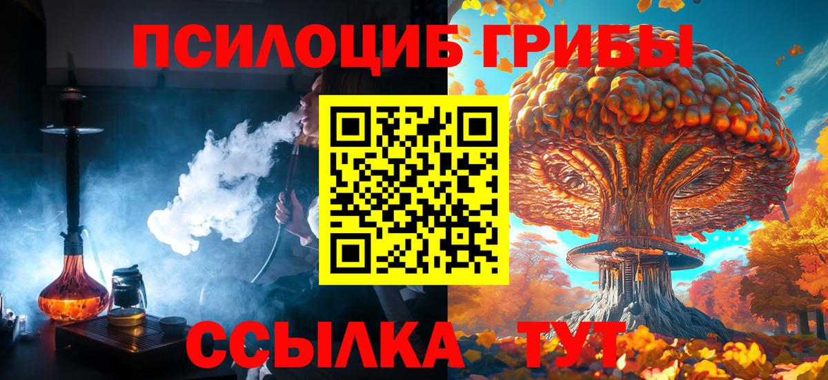 Псилоцибиновые грибы Cubensis Лиски